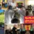 https://storage.flyo.cloud/8_693bf82d_bllnkbildcollage.jpg