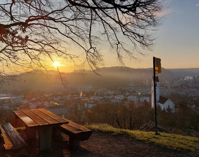 Wanderung vom Gönhardwald zum Suhrerchopf Wanderung vom Gönhardwald zum Suhrerchopf
