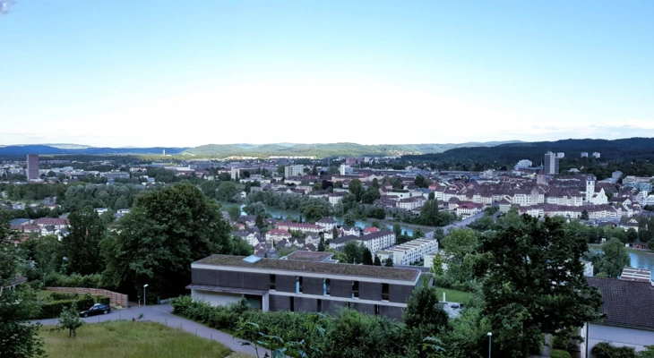 Alpenzeiger Alpenzeiger