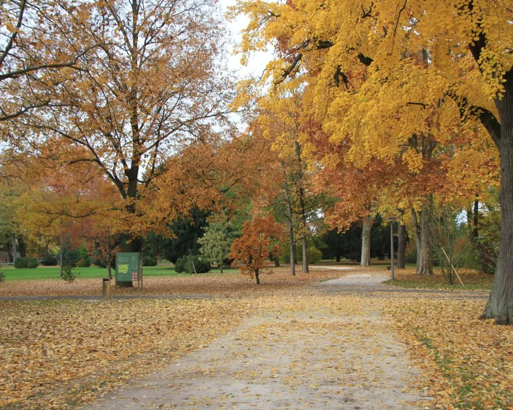 Kannenfeldpark