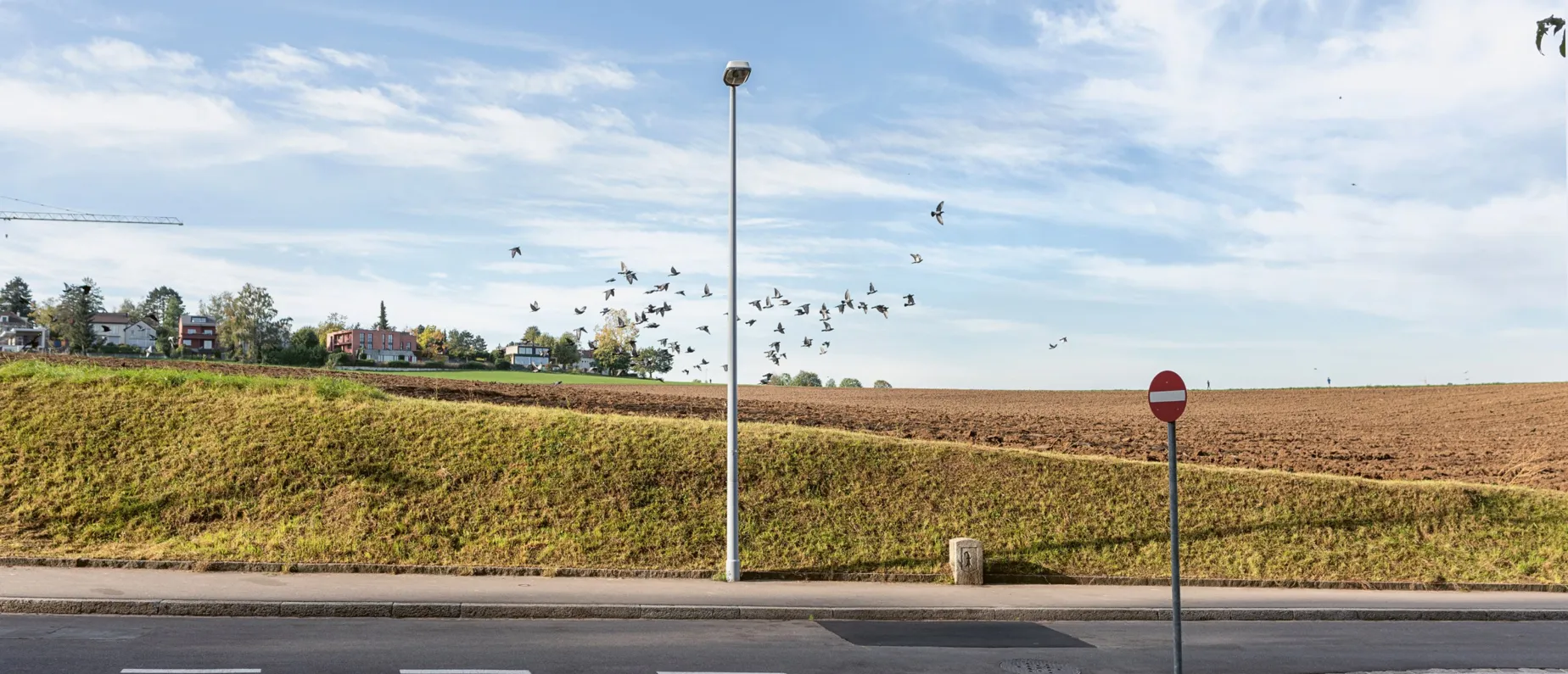 Bild aus Buch"Auf dem hellen Huegel - das Basler Stadtquartier Bruderholz", Fotograf Christian Flierl, Blick vom Unteren Batterieweg auf die Felder von Acht Jucharten