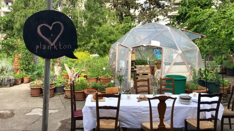 From Soil to Fork & Beyond (NEW DATE)