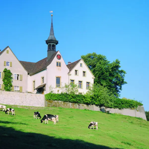Reformierte Kirche St. Margarethen Binningen