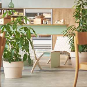 Bio Bistro BaseLink, Sitzplätze und Shop