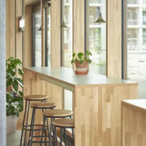 Bio Bistro BaseLink, 2022