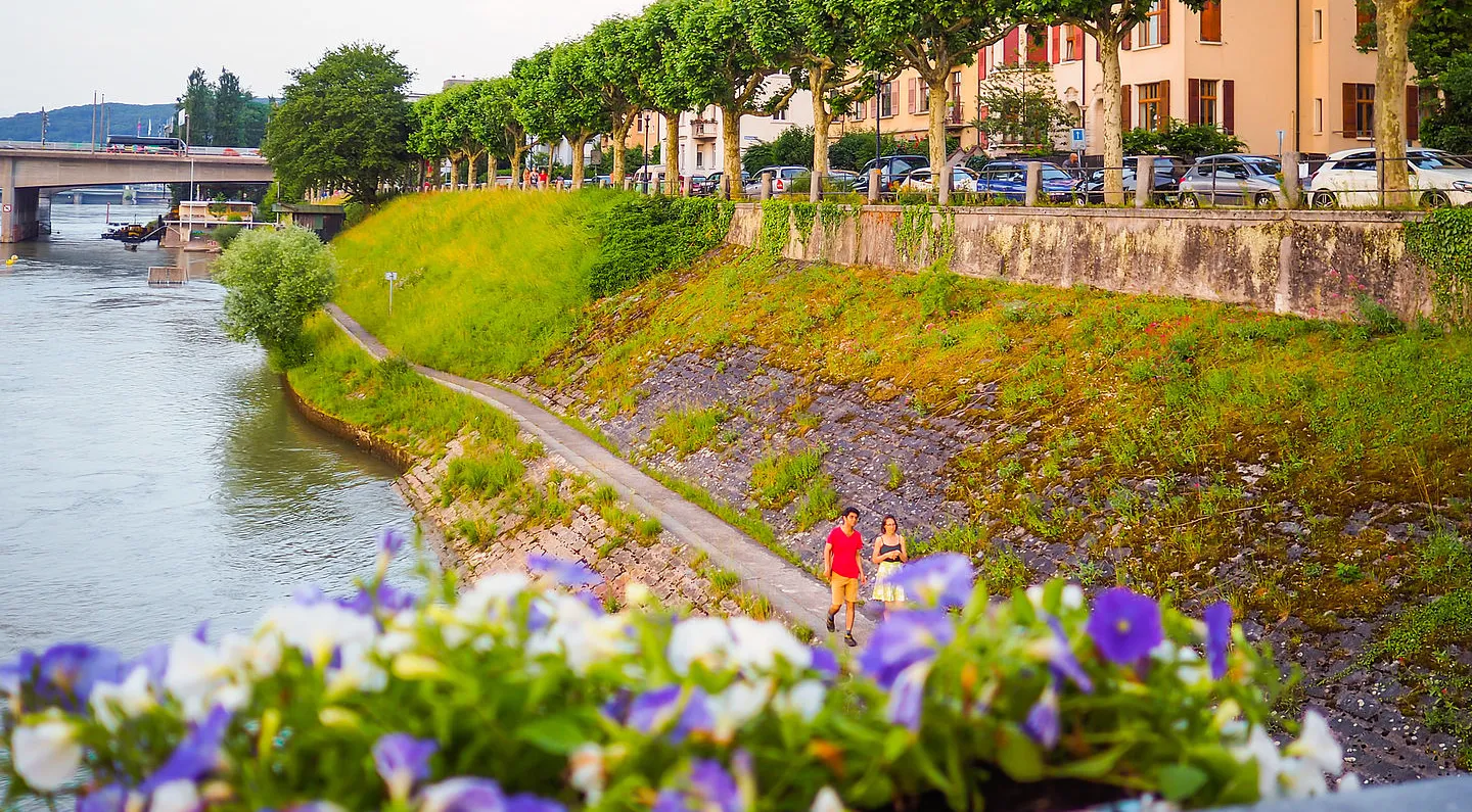 Spaziergang am St. Alban-Rheinweg