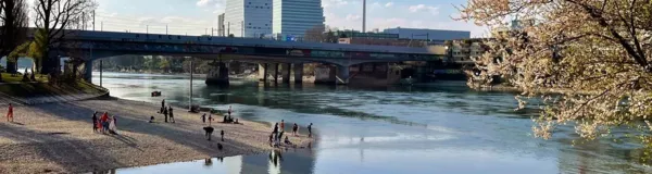 BaselLive Newsletter #102