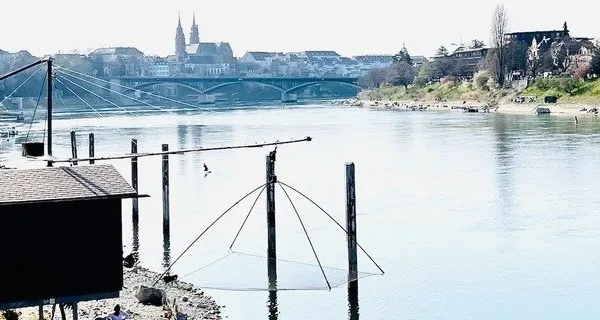 BaselLive Newsletter #105