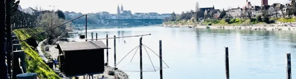 BaselLive Newsletter #105