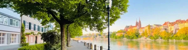 BaselLive Newsletter #108