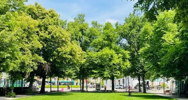 BaselLive Newsletter #109