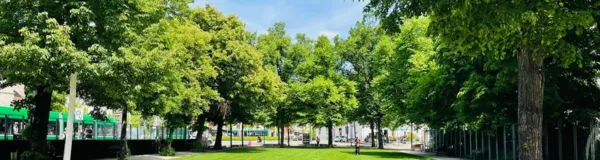 BaselLive Newsletter #109