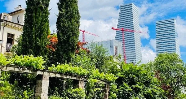 BaselLive Newsletter #111