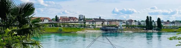 BaselLive Newsletter #112