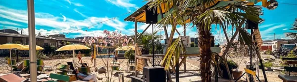 BaselLive Newsletter #116