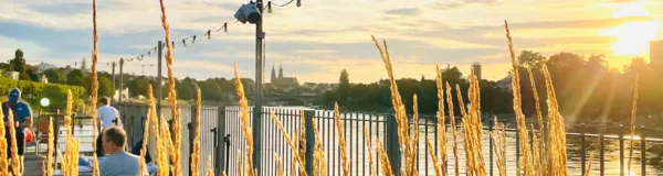 BaselLive Newsletter #118