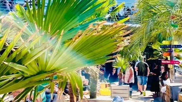 BaselLive Newsletter #119