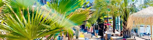 BaselLive Newsletter #119