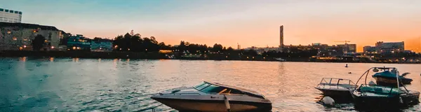 BaselLive Newsletter Edition #11