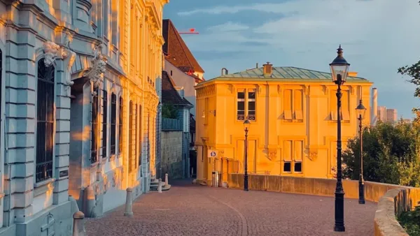 BaselLive Newsletter #128