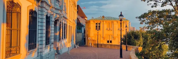 BaselLive Newsletter #128