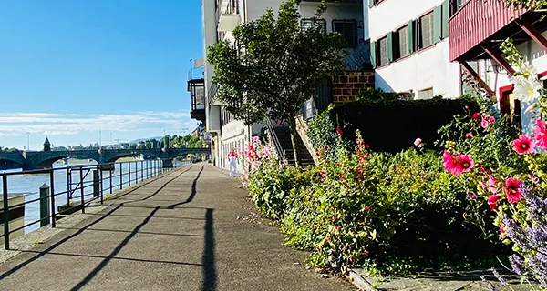 BaselLive Newsletter Edition #12