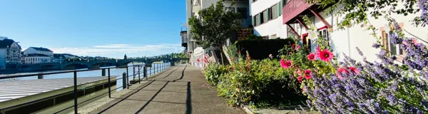 BaselLive Newsletter Edition #12