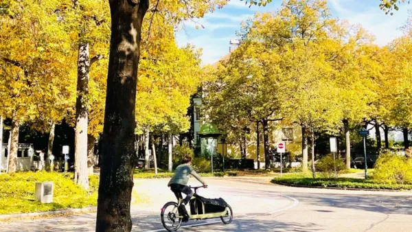 BaselLive Newsletter #131