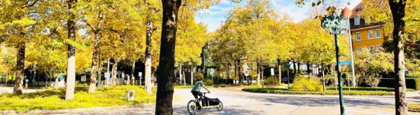 BaselLive Newsletter #131