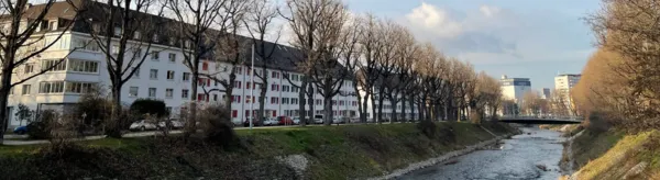 BaselLive Newsletter #145