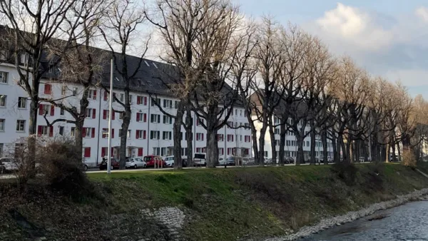 BaselLive Newsletter #145