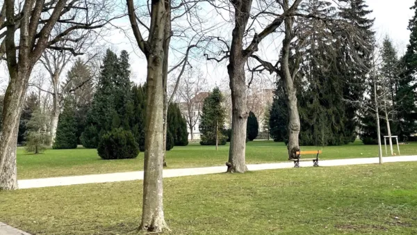 BaselLive Newsletter #146