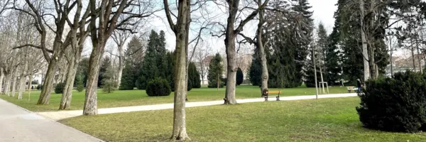 BaselLive Newsletter #146