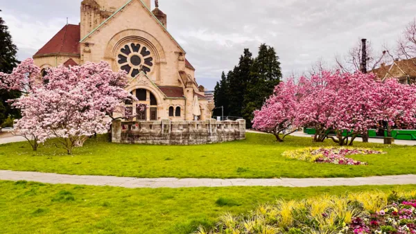 BaselLive Newsletter #154