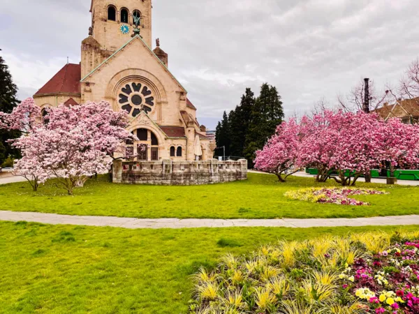 BaselLive Newsletter #154