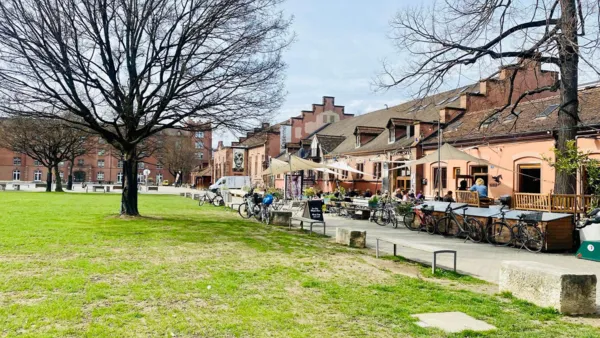 BaselLive Newsletter #155