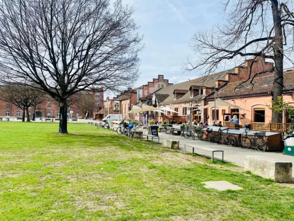 BaselLive Newsletter #155