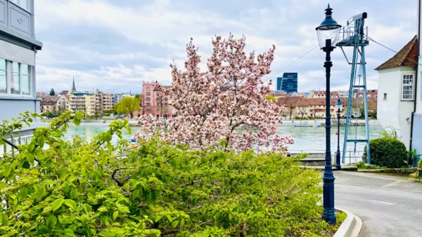 BaselLive Newsletter #157