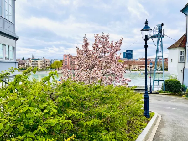 BaselLive Newsletter #157