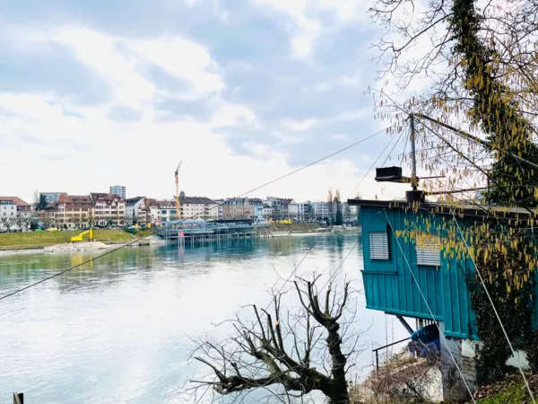 BaselLive Newsletter #159