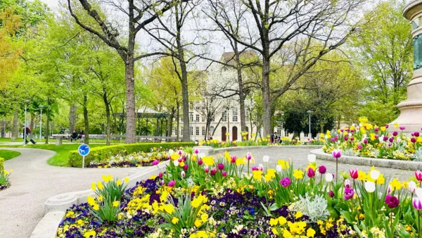 BaselLive Newsletter #160