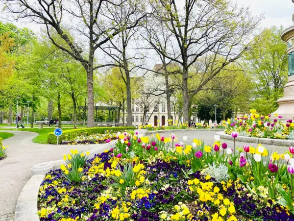 BaselLive Newsletter #160