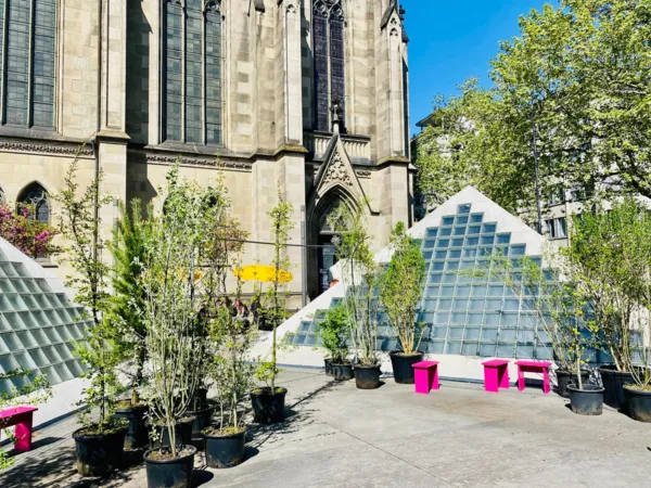 BaselLive Newsletter #161