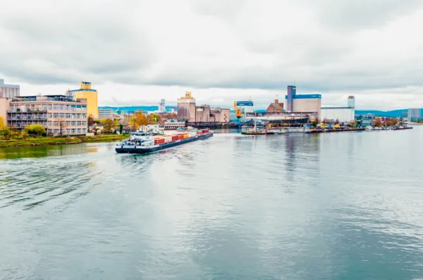 BaselLive Newsletter #162