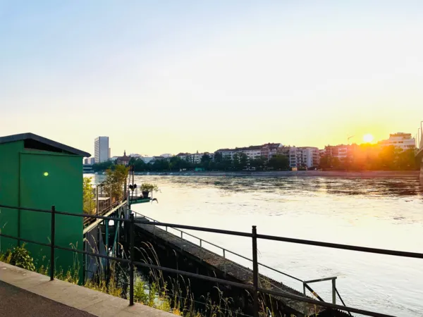 BaselLive Newsletter #167