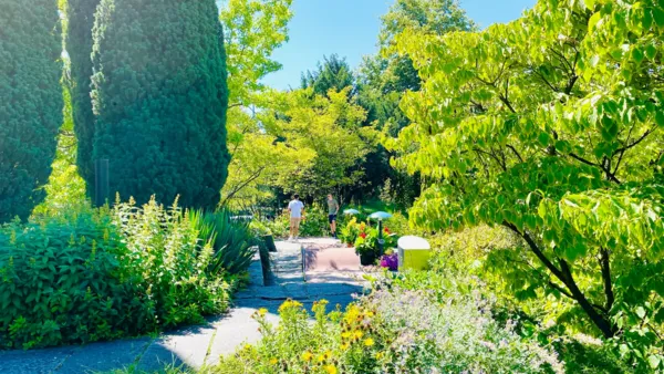 BaselLive Newsletter #173