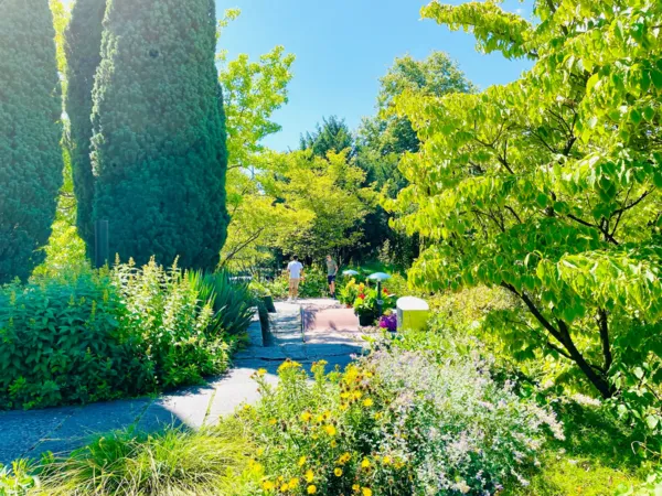 BaselLive Newsletter #173