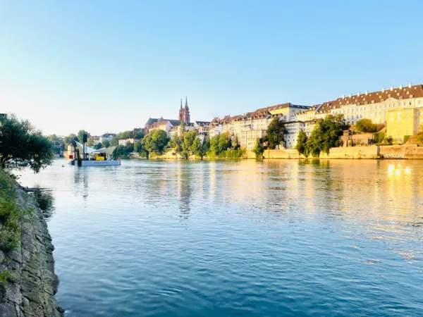 BaselLive Newsletter #175