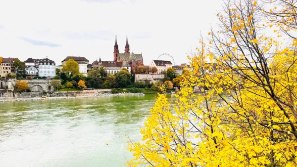 BaselLive Newsletter #186