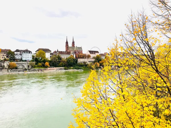 BaselLive Newsletter #186